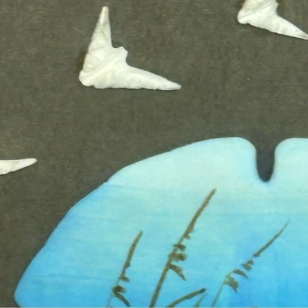 Sand Dollar Mystery Framed Shadow Box Art 9 in X 11 in Real Painted Sand Dollar